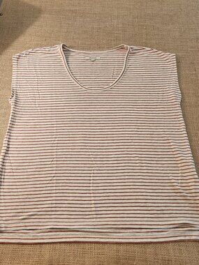 Madewell Cream/Brown Stripe Top